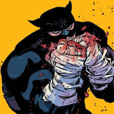 Wildcat
